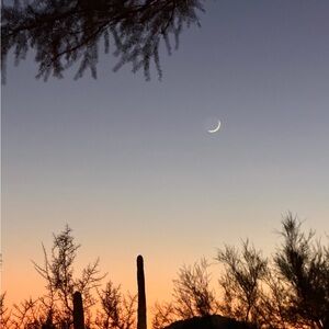 Meet your Posher, Janel